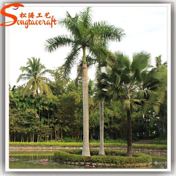 all kinds of evergreen tropical fruit trees artificial giant outdoor coconut palm tree dubai plants for sale