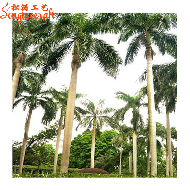 all kinds of evergreen tropical fruit trees artificial giant outdoor coconut palm tree dubai plants for sale