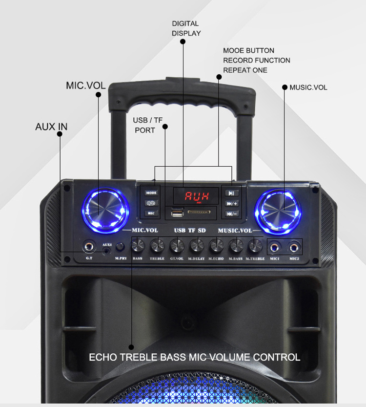 Portable Trolley Speaker 5.25 Inch With Usb And Wired/Wireless Microphone Pb Speakers Ibastek Karaoke Party