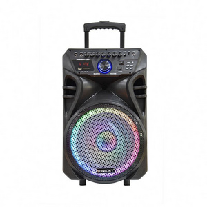 Portable Trolley Speaker 5.25 Inch With Usb And Wired/Wireless Microphone Pb Speakers Ibastek Karaoke Party