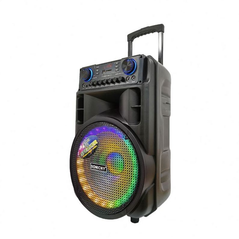 High Quality 12 Inch Wireless Party Dj Trolley Subwoofer Portable Speaker Ibastek With Charger Active Wanna