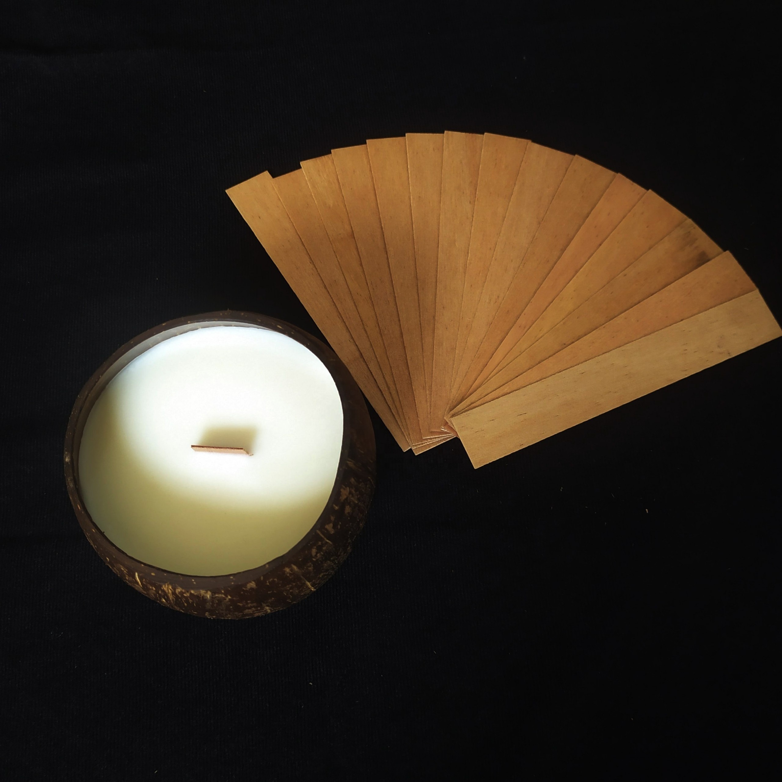 High quality Hot Sale Coconut candle Coconut candle bowl with soy wax from Viet Nam