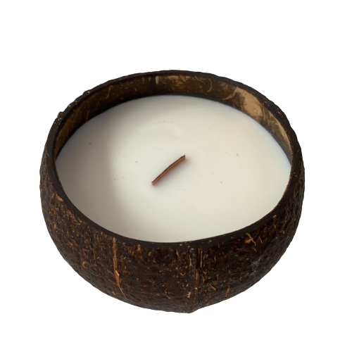 Best selling Amazon choice Coconut scent coconut shell candle bowls