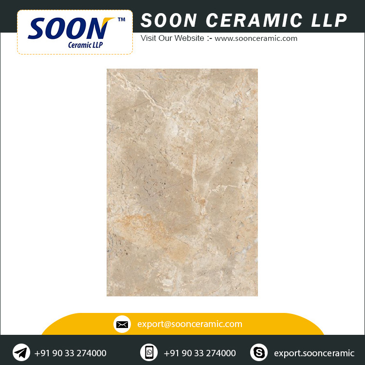 High Quality 600x900 Gvt/Pgvt Porcelain Floor Tiles for Living Room Use