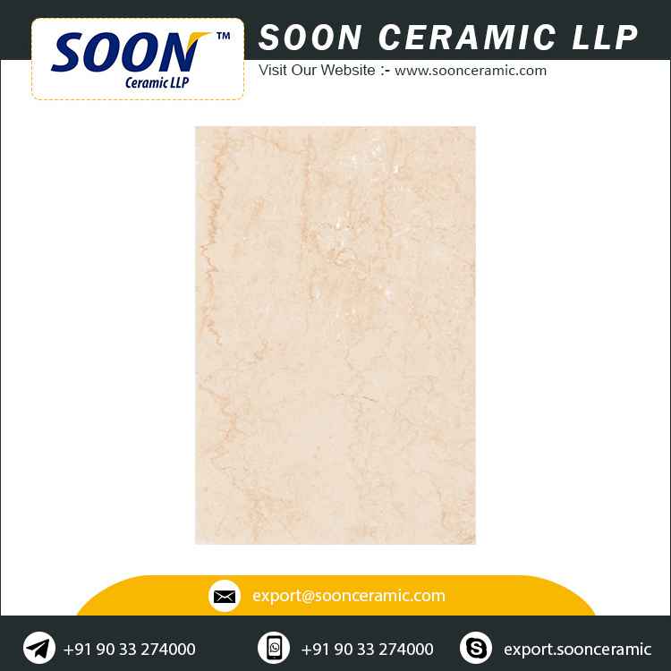 High Quality 600x900 Gvt/Pgvt Porcelain Floor Tiles for Living Room Use