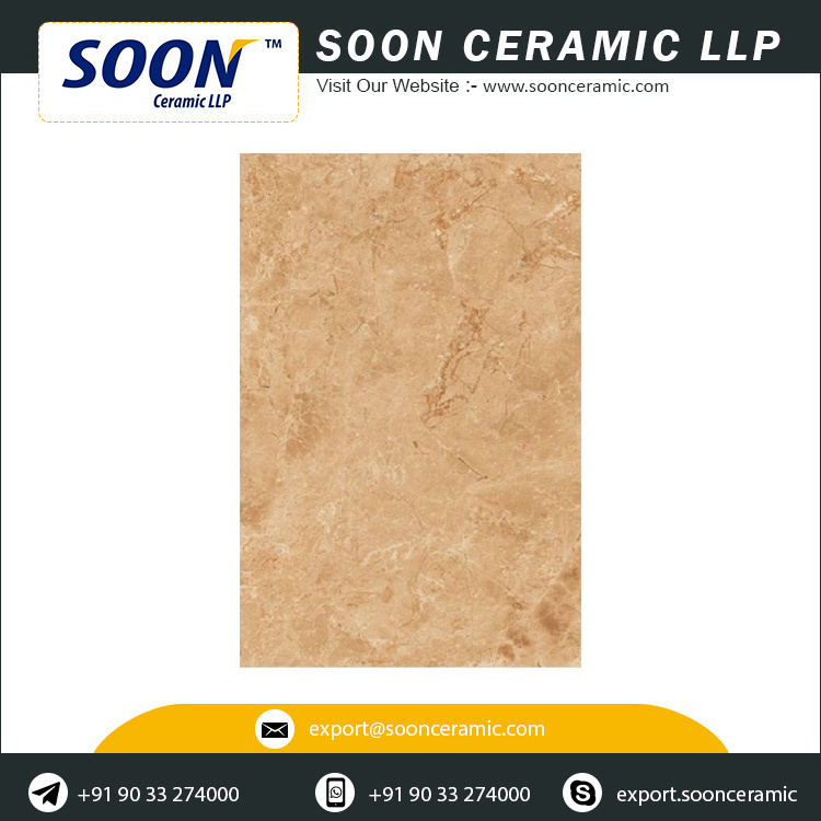 High Quality 600x900 Gvt/Pgvt Porcelain Floor Tiles for Living Room Use