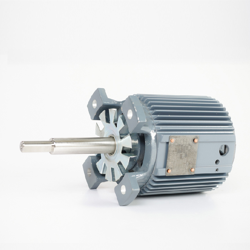 High Temperature Resistant Asynchronous Motor