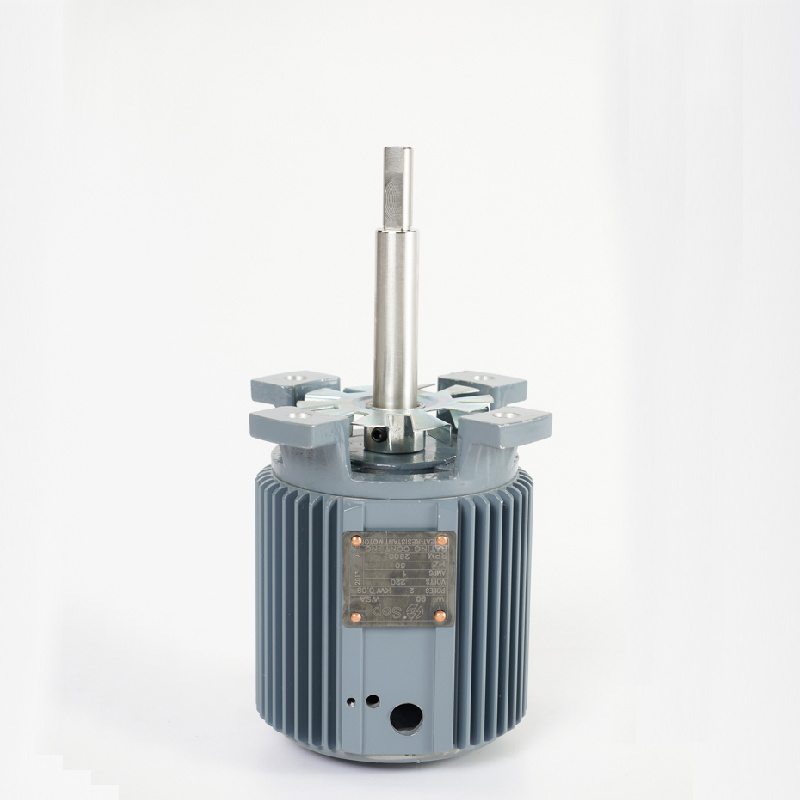 High Temperature Resistant Asynchronous Motor