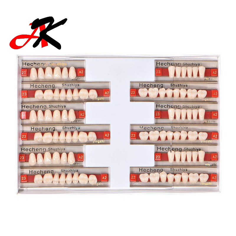 Top Quality Dental Resin Teeth Acrylic Denture Polymer Teeth