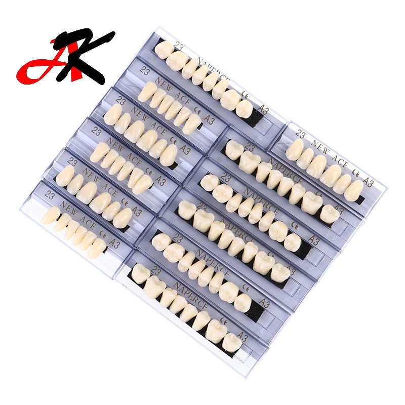 Top Quality Dental Resin Teeth Acrylic Denture Polymer Teeth