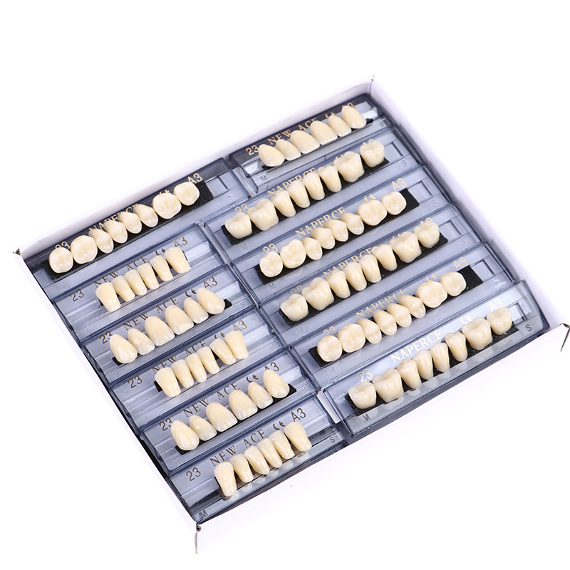 Top Quality Dental Resin Teeth Acrylic Denture Polymer Teeth