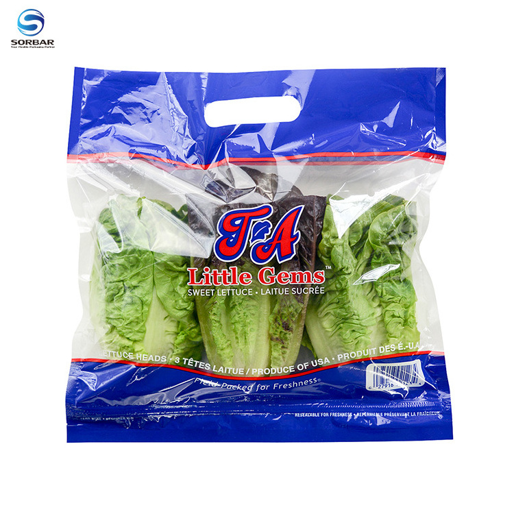 Plastic opp reusable zip lock frozen lettuce fresh vegetable packaging bag with holes