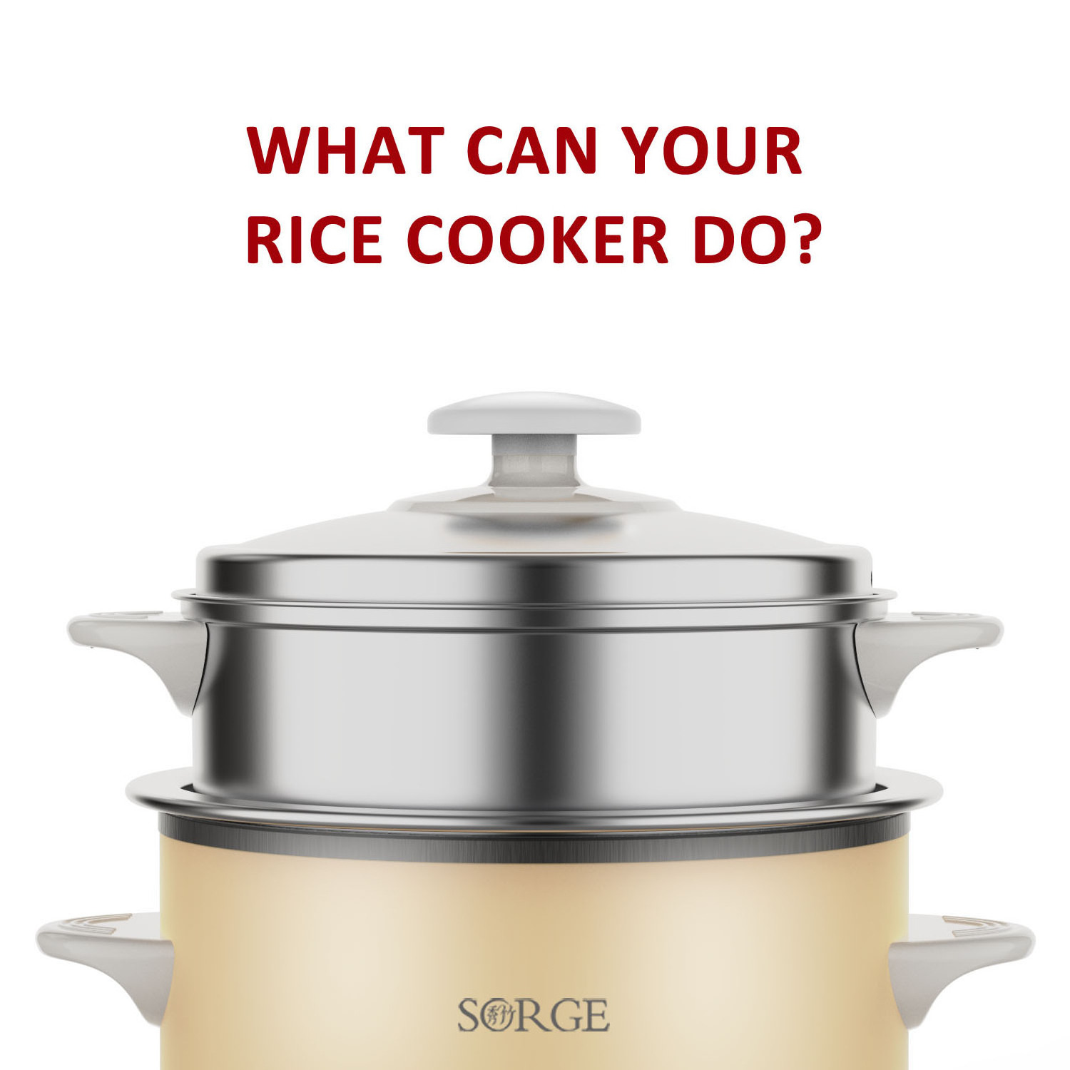 Sorge 1.5L Multi-functional Rice Cooker for 1-2 Person Rice Cooker