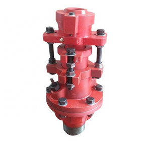 Wellhead double packed stuffing box for sealing