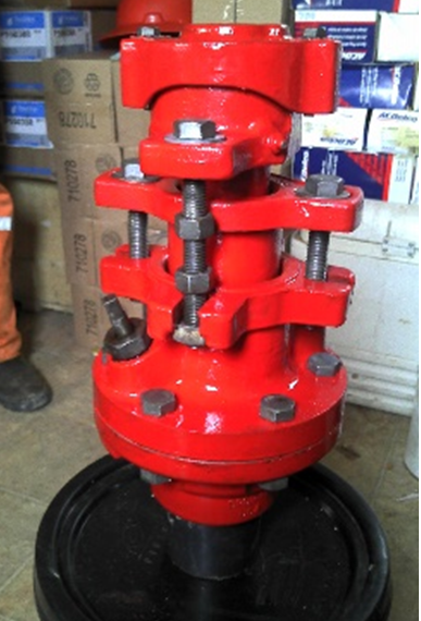 Wellhead double packed stuffing box for sealing