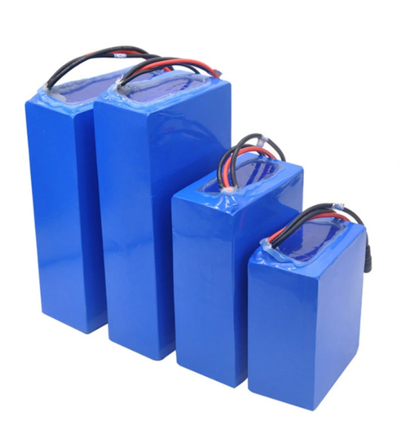 12V 22.2 V 24V 36V 48V 60V 72V 10Ah 13Ah 15Ah 18Ah 20Ah 25Ah 30Ah 18650 LiFePo4 Battery Pack lithium ion batteries