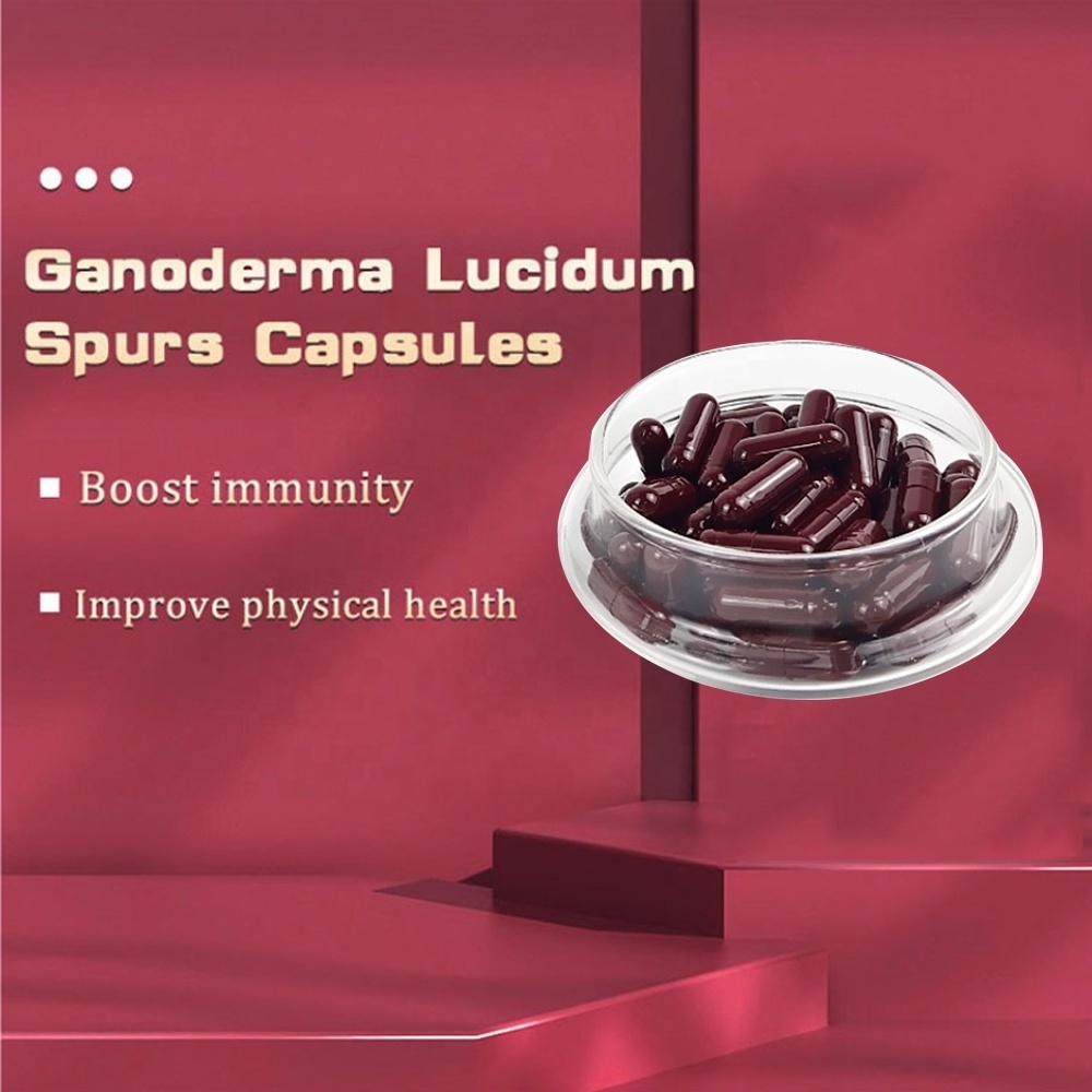 New Arrival Selenium-enriched Broken Ganoderma Lucidum Spore Powder Capsules