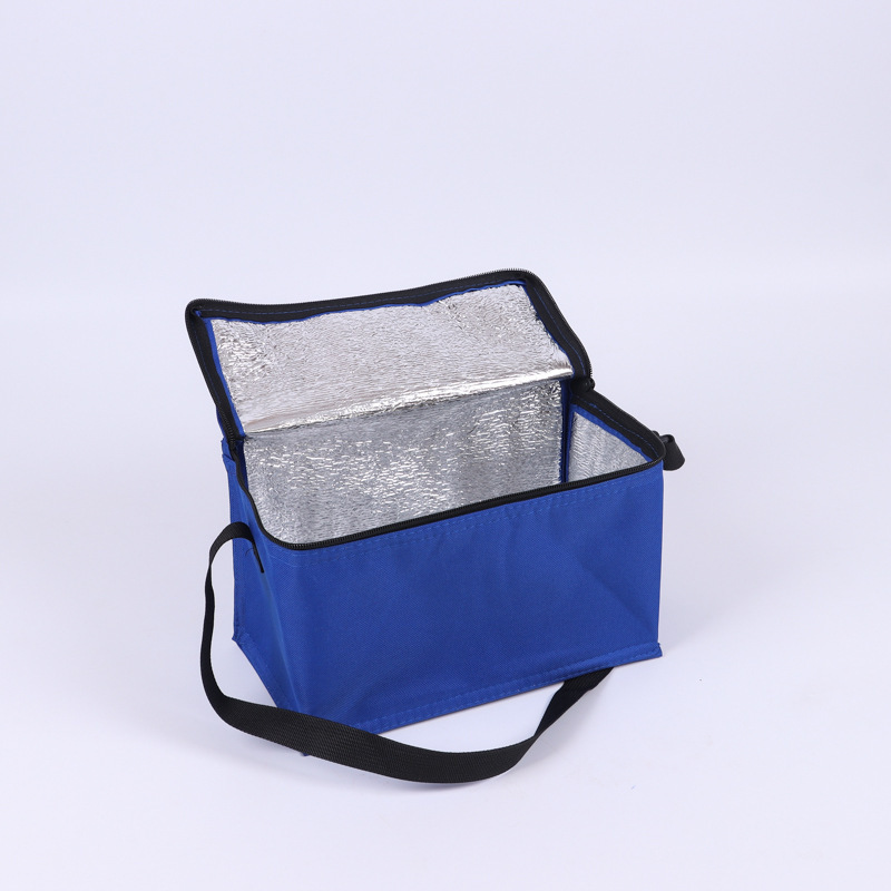 SW Customized Oxford Printed Thermal Picnic Nonwoven Waterproof Aluminum Foil Tote Shopping Portable Insulated  Ice Cooler