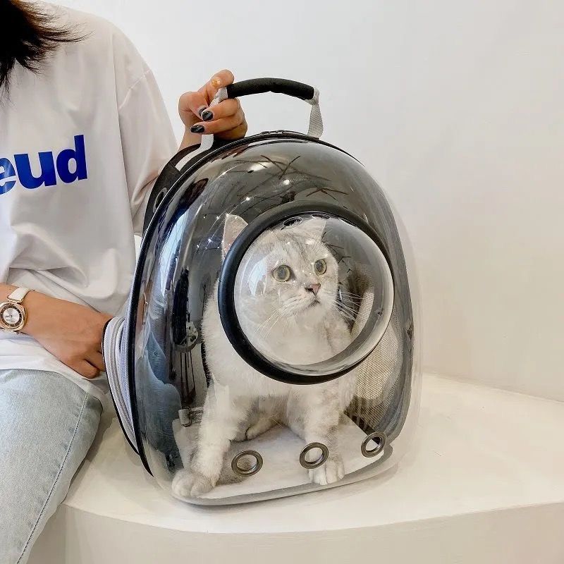 SW Pet Dog Backpack Portable Outdoor Cat Dog Carrier Bag Travel Suitcase for Pet Travel Transparent Case