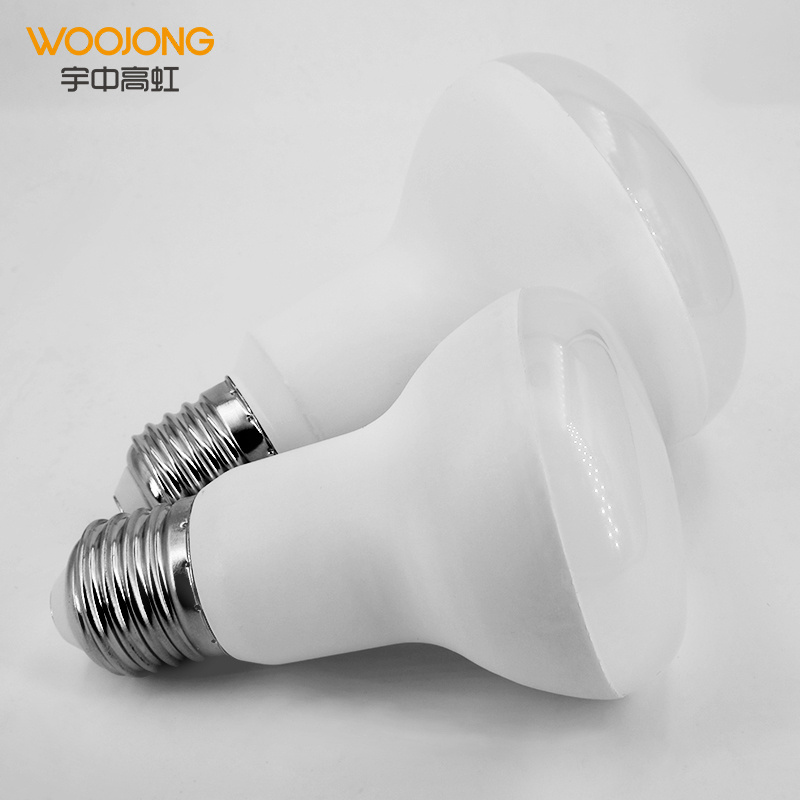 WOOJONG 10 x Reflector LED Bulb R39 30W R50 25W 40W 60W Matt Bulb 25 30 40 40 60 Watt Incandescent Bulbs