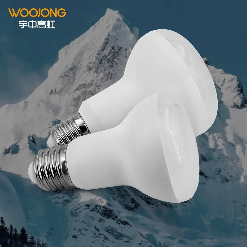 WOOJONG Reflector LED Lighting Bulbs Wholesale 13W R80 R Shape Bulb 175-265V LED Indoor Lighting Factory Wholesale R Lamp