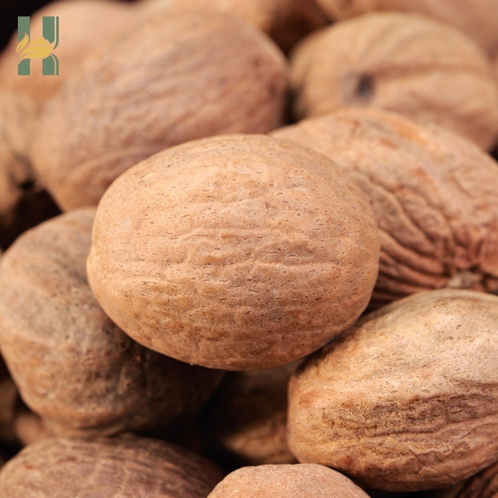 SFG wholesale high quality spice dried mace nutmeg factory price cardamom whole nutmeg