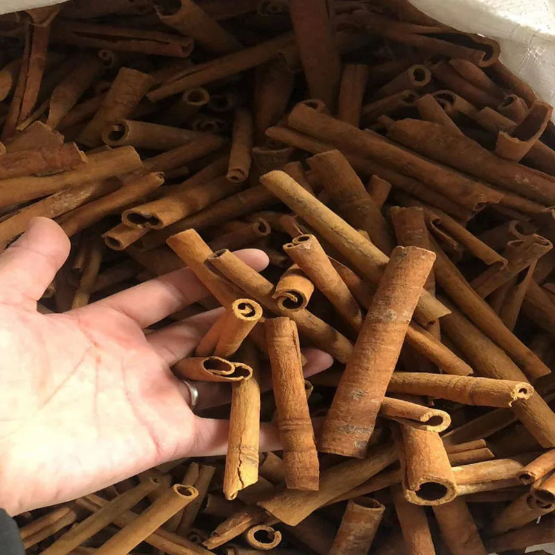 SFG Guangxi wholesale chinese cinnamon roll spice premium quality dried cassia cinnamon stick