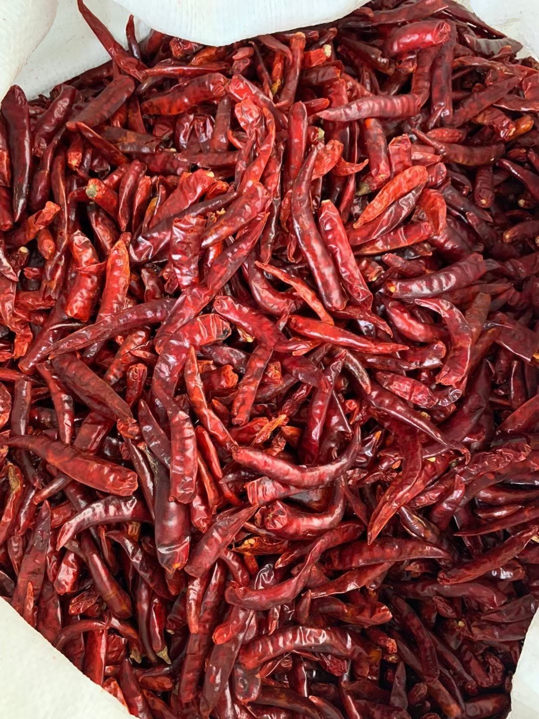 SFG High Quality Supplier Price Hot Pepper Cayenne Pepper Red Chilli Dried Red Pepper