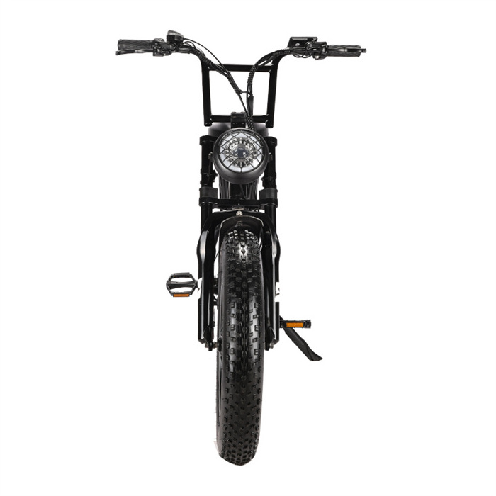 SoverSky Big Tire 450W Electric Mountain Bicycle Ebike With 7 Speed