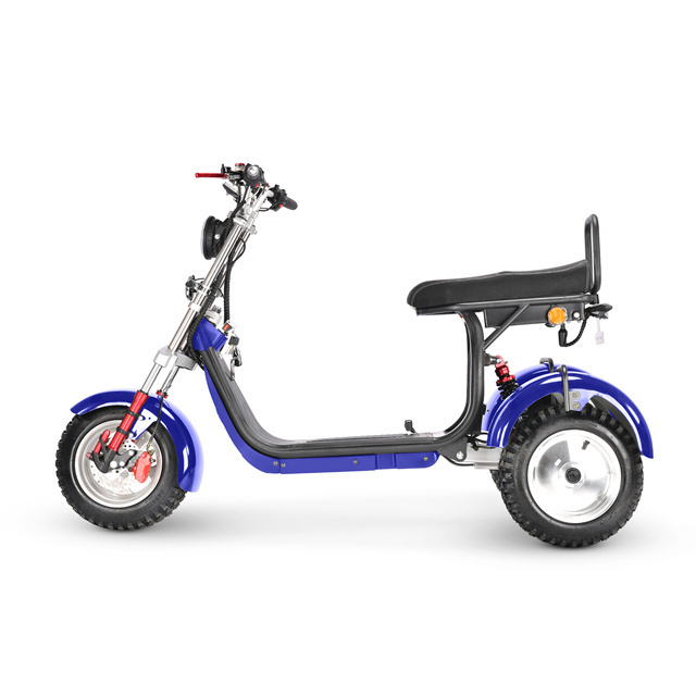 SoverSky high speed 55km/h 4000w 3 wheel electric scooter with fat tire