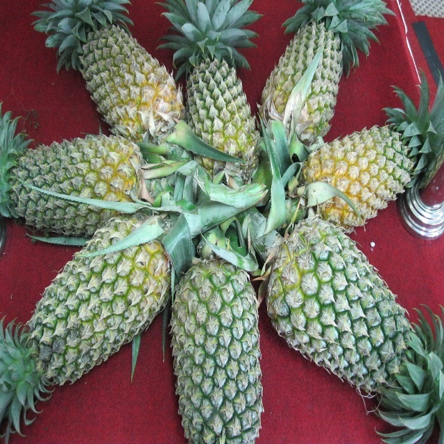 GRADE AAA FRESH PINEAPPLE FROM VIETNAM