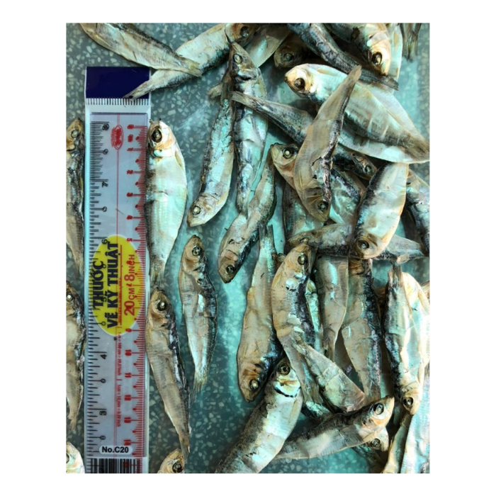 Wholesale Dried Herring Fish high quality form Vietnam Best seller