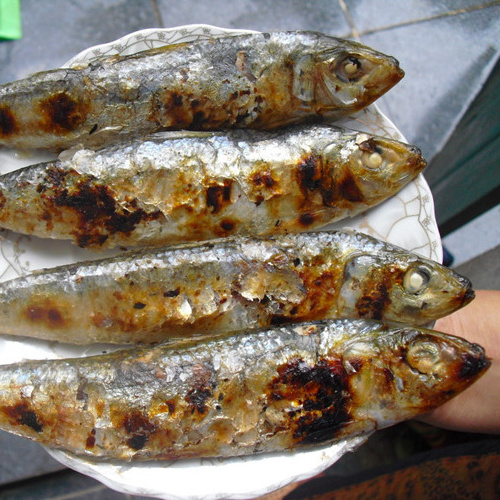 Wholesale Dried Herring Fish high quality form Vietnam Best seller