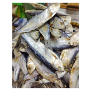 Dried Herring Fish high quality from Vietnam for buyer