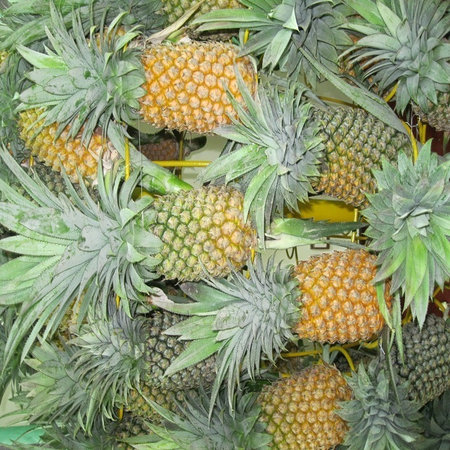 GRADE AAA FRESH PINEAPPLE FROM VIETNAM