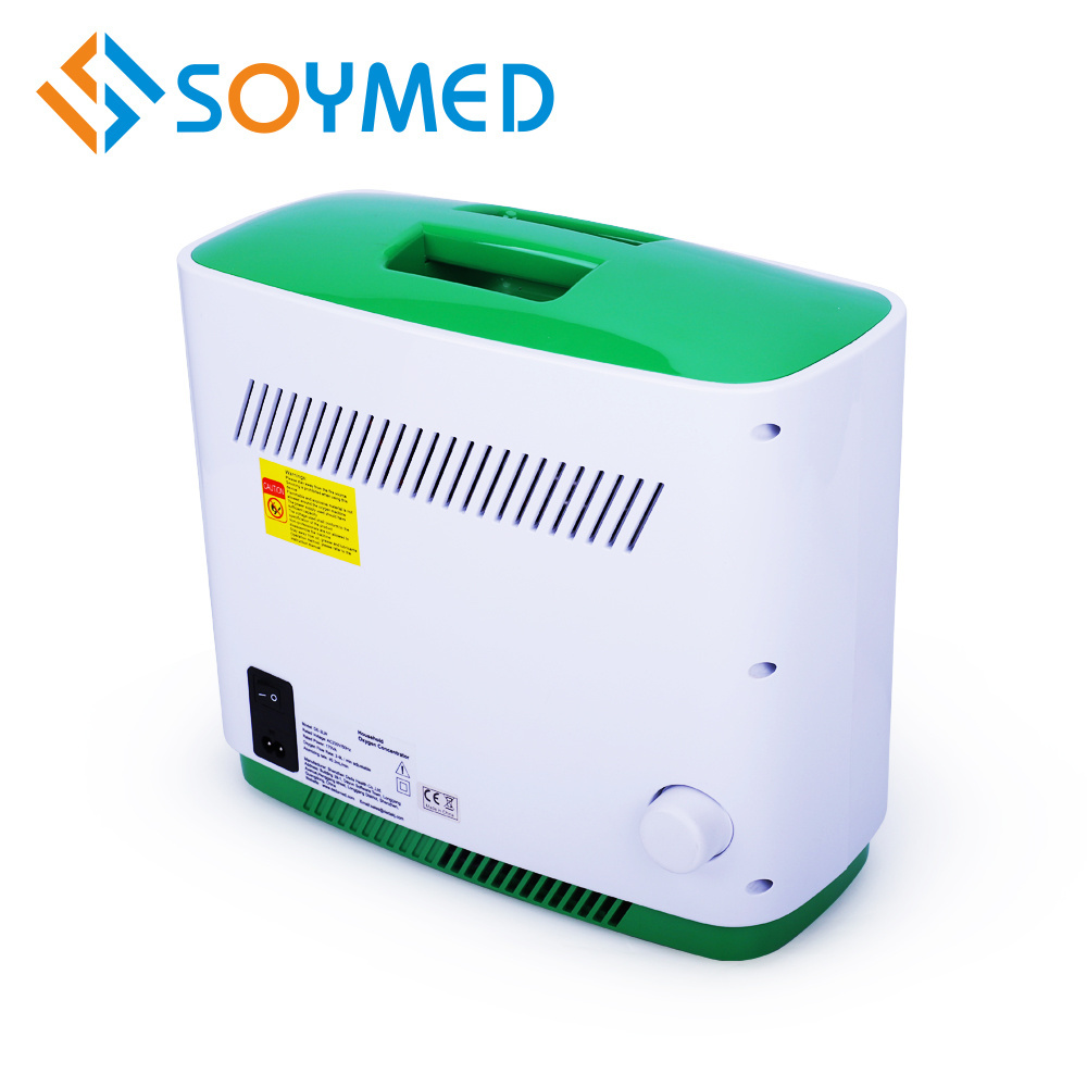 Good Quality 220V/110V Luxury Portable mini Electric Oxygen concentrator with battery Machine price 9L for Home Use