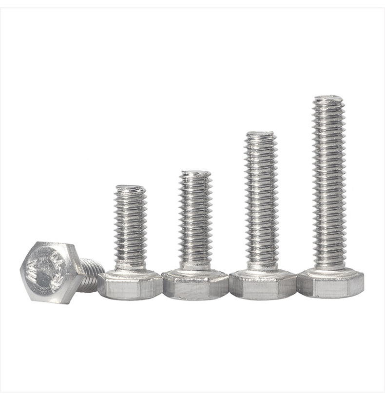 M10 Stainless steel Hex bolt and  nut