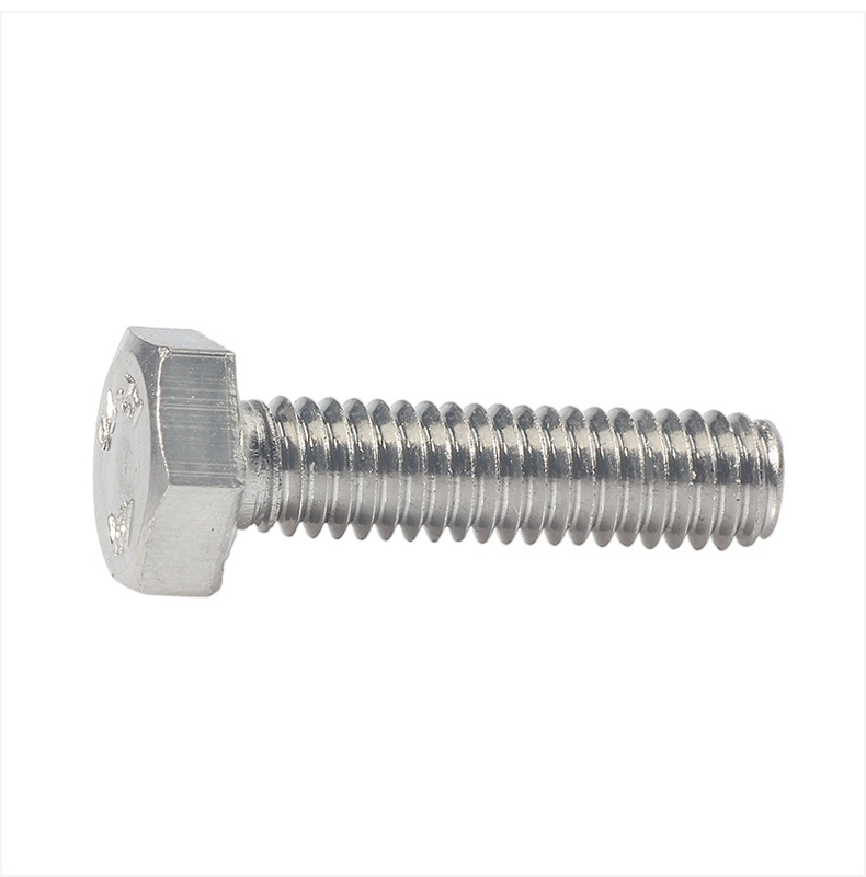 M10 Stainless steel Hex bolt and  nut