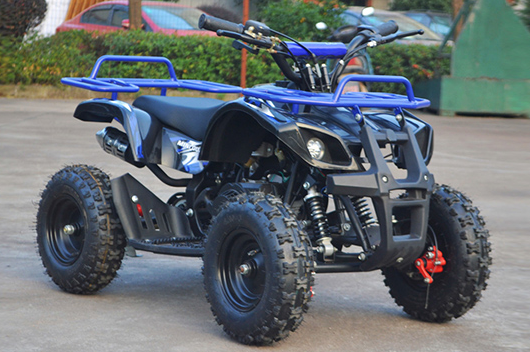 Mini Quad ATV 50cc Amphibious ATV for Sale