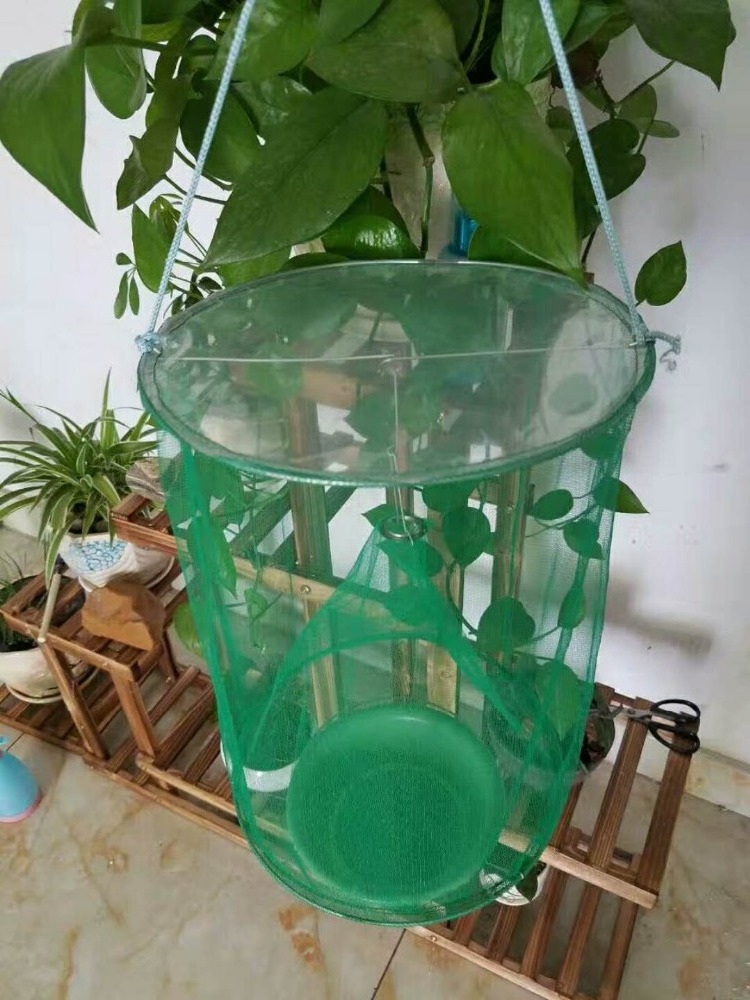 Green Fly Catcher Killer Cage Net Trap Insert Bug fly Hanging Catcher