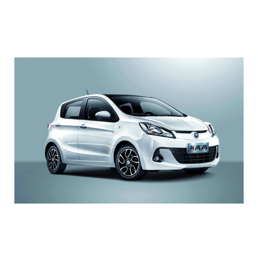 Made in 2024 MINI CAR Changan Benben E-Star Range 310Km Low Price High Quality electric car