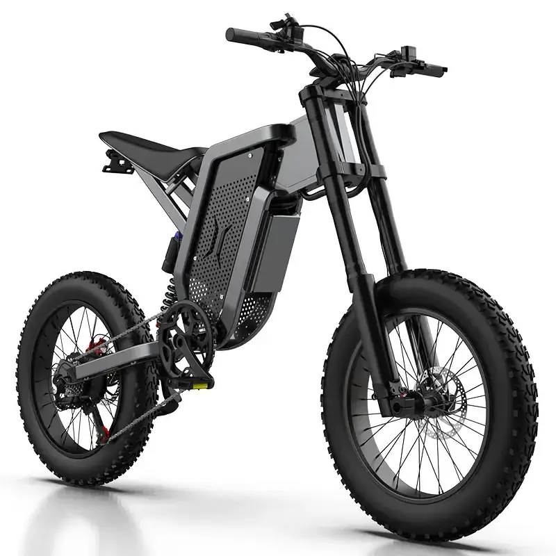 EKX X21 2000W 35AH Battery Cross-Country Electric Mountain 20 Inch Off-Road Tyre Mens dirt bike For Adults X20