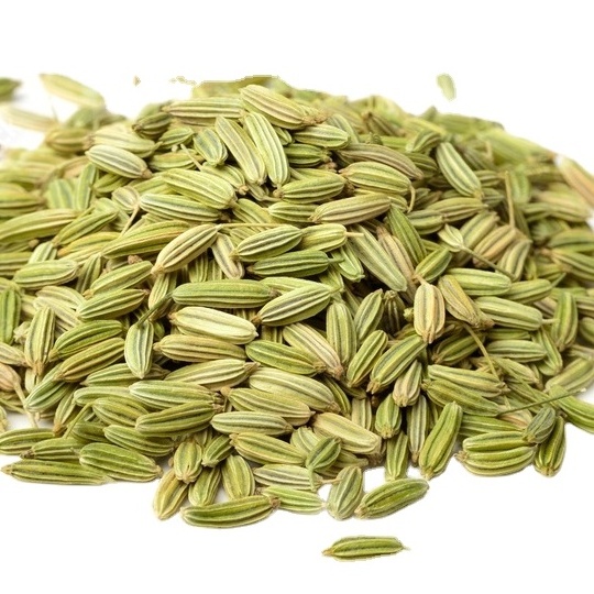 Best Quality Fennel seed Available from India