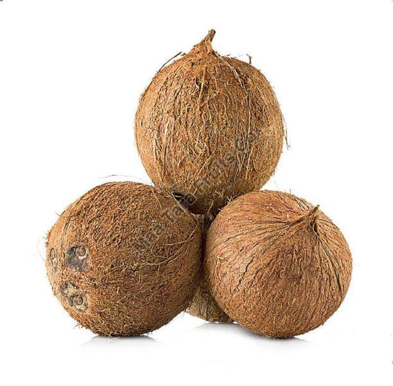 Semi Husked Fresh Coconut