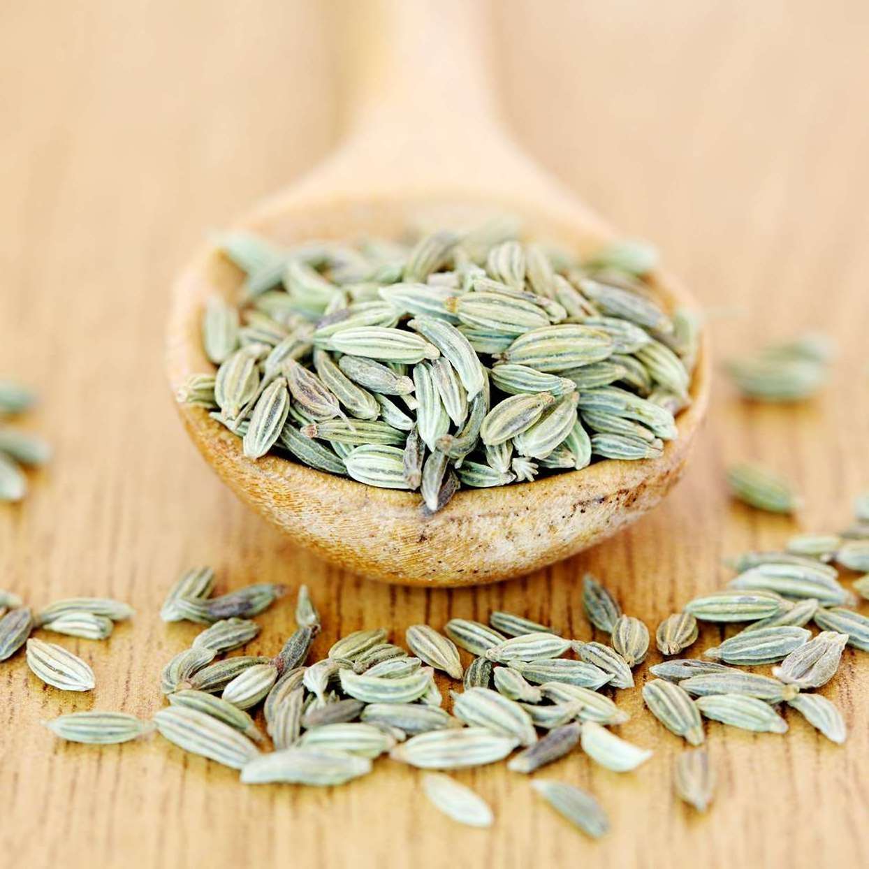 Fennel seeds 100% pure Dehydrated Green Fennel Seed In Best Quality For Export