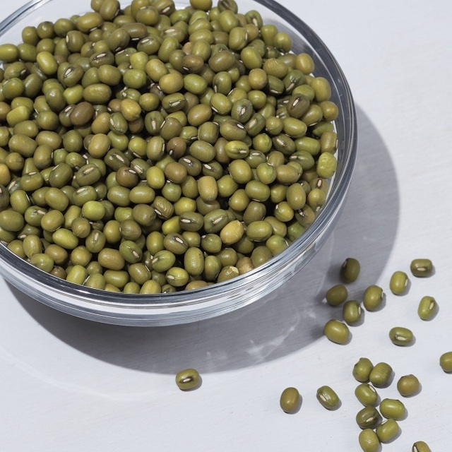 Green Mung Bean In Best Quality Nutrient Rice Mung Beans Available For Export