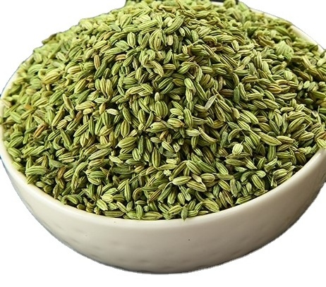 High Quality Fennel Seed For Food Ingredients In Wholesale Price Bulk Quantity From India