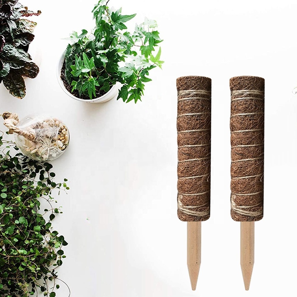 Stackable Climbing Plants Support Stick Gardening Holder Coir Indoor Plant 12 Inch 16 Inch 19 Inch Garden Plant Moss Pole