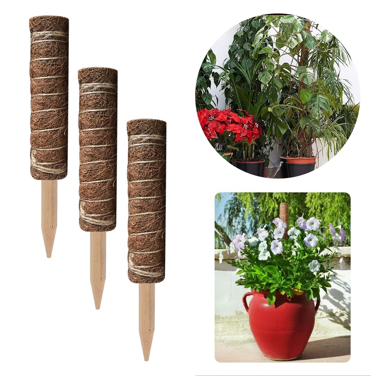 Stackable Climbing Plants Support Stick Gardening Holder Coir Indoor Plant 12 Inch 16 Inch 19 Inch Garden Plant Moss Pole