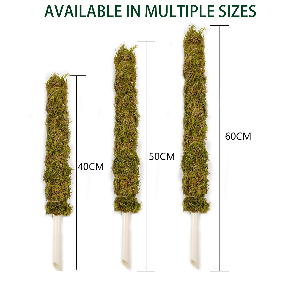 Custom size or 16 Inch 20Inch 24Inch Garden Plant Support Stakes Moss Pole  Climbing Plants Indoor Sphagnum Moss Stick